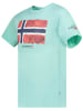Geographical Norway Koszulka "Jpalm" w kolorze turkusowym