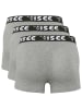 Chiemsee 3er-Set: Boxershorts in Grau