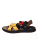 Nike Wandersandalen "ACG Air Deschutz+" in Bunt