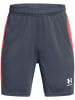 Under Armour Functionele short grijs
