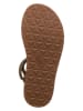 Teva Sandalen "Slim Lea" in Braun