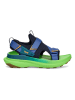 Teva Wandersandalen "Aventrail" in Dunkelblau/ Grün