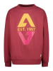 Vingino Sweatshirt rood