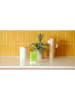 Zwitscherbox Junglebox in Hellgrün - (B)8 x (H)12,2 x (T)4,7 cm