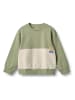 Wheat Sweatshirt "Steff" in Grün/ Creme