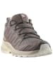 SALOMON Trailrunningschuhe "XA Pro 3D V9" in Braun