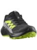SALOMON Wanderschuhe "Alphaglide GTX" in Schwarz