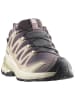 SALOMON Trailrunningschoenen "XA Pro 3D V9 GTX" beige/grijs