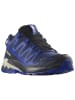 SALOMON Trailrunningschuhe "XA Pro 3D V9 GTX" in Dunkelblau