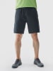 4F Trainingsshorts in Anthrazit