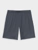 4F Trainingsshorts in Anthrazit