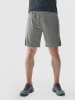 4F Trainingsshorts in Grau