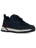 Geox Sneakers "Sterrato B Abx" in Dunkelblau