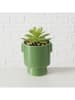 Boltze 3-delige set: kunstplanten "Sukkulente" groen - (H)15 cm