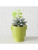 Boltze 3-delige set: kunstplanten "Sukkulente" groen - (H)15 cm