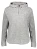 The North Face Fleecehoodie in Grau