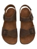 Moosefield Sandalen in Braun