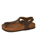 Moosefield Zehensandalen in Braun