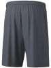 erima Funktionsshorts "Team" in Grau