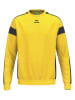 erima Sweatshirt "CMPT 3 Wings" in Gelb/ Schwarz