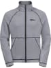 Jack Wolfskin Trainingsjacke "Fernweh" in Grau