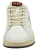 GANT Footwear Leder-Sneakers in Weiß/ Beige