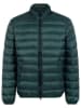 Herrlicher Steppjacke in Grün