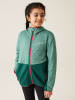 Regatta Softshelljacke "Prenton" in Petrol