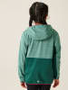 Regatta Softshelljacke "Prenton" in Petrol