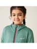 Regatta Softshelljacke "Prenton" in Petrol