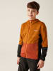 Regatta Softshelljacke "Prenton" in Orange/ Schwarz