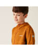 Regatta Softshelljacke "Prenton" in Orange/ Schwarz