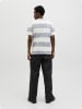 Jack & Jones Koszulka "Birk" w kolorze szaro-białym