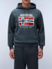 Napapijri Hoodie in Grün