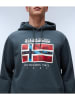 Napapijri Hoodie groen