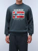 Napapijri Sweatshirt groen