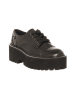 Liu Jo Leder-Schnürschuhe in Schwarz