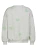 Sublevel Sweatshirt in Grau/ Grün