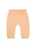 Noppies Sweathose "Mulino" in Orange