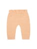 Noppies Sweathose "Mulino" in Orange
