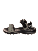 adidas Trekkingsandalen in Grau