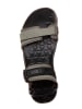 adidas Trekkingsandalen in Grau