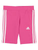 adidas Shorts in Pink