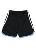 adidas Trainingsshorts in Schwarz