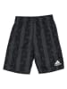 adidas Trainingsshorts in Schwarz/ Anthrazit