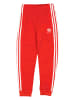 adidas Trainingshose in Rot