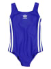 adidas Badeanzug in Blau