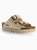 BACKSUN Slippers "Gwana" goudkleurig