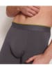 Sloggi 2er-Set: Boxershorts in Grau/ Schwarz