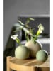 LEONARDO Vase ''Bolla'' in Grün - (H)7 x Ø 7,7 cm